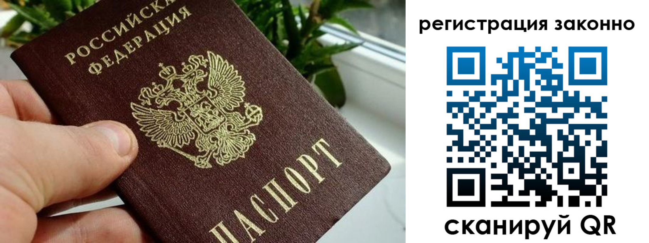 прописка гарантия в Смоленской области